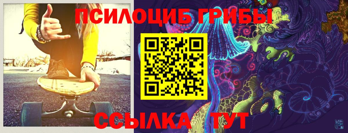 Псилоцибиновые грибы прущие грибы  Псилоцибиновые грибы мицелий  Вход с VPN  Сызрань 